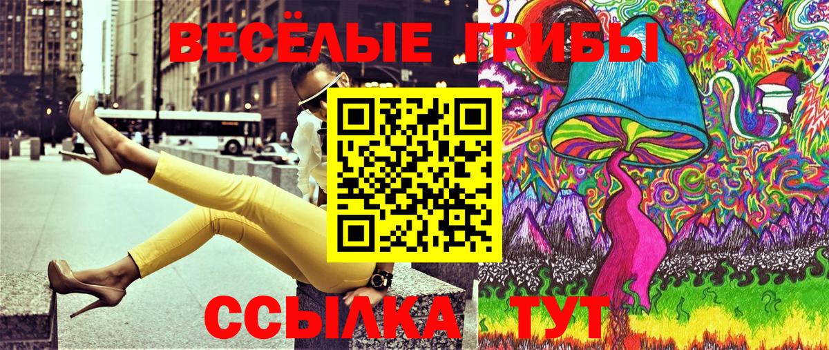 Псилоцибиновые грибы Psilocybe Гусиноозёрск